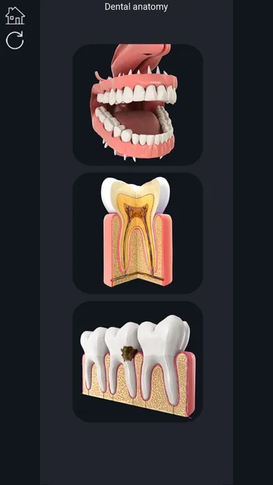 ภาพหน้าจอของ My Dental Anatomy